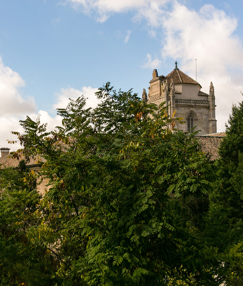 Vista de la torre del Hospital Real